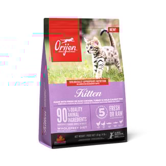 Best cat food ingredients outlet